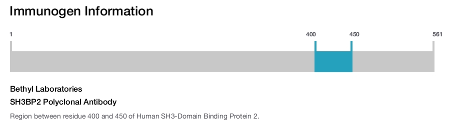 SH3BP2 Polyclonal Antibody
