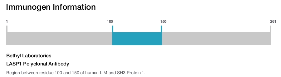 LASP1 Polyclonal Antibody
