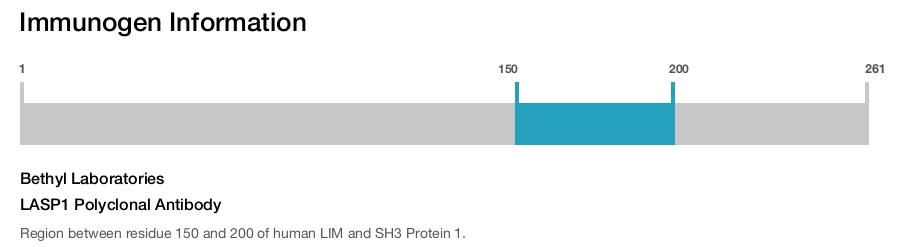 LASP1 Polyclonal Antibody