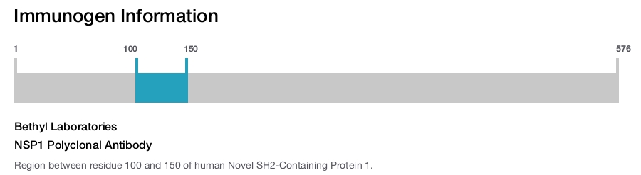 NSP1 Polyclonal Antibody