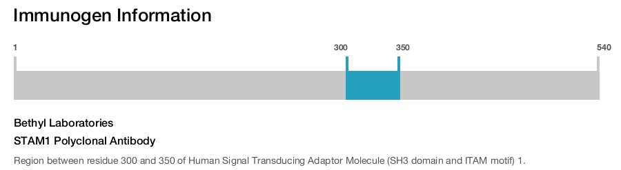 STAM1 Polyclonal Antibody