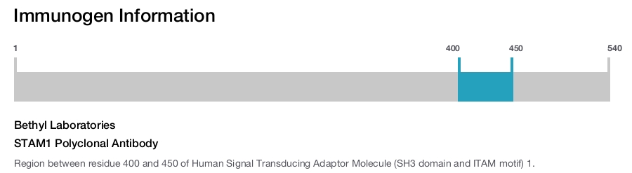 STAM1 Polyclonal Antibody