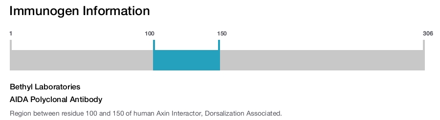 AIDA Polyclonal Antibody