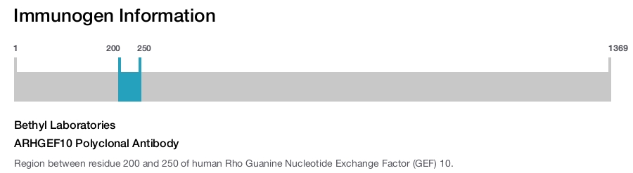 ARHGEF10 Polyclonal Antibody