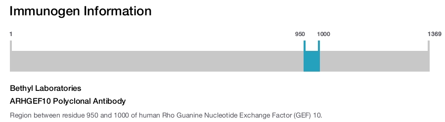 ARHGEF10 Polyclonal Antibody