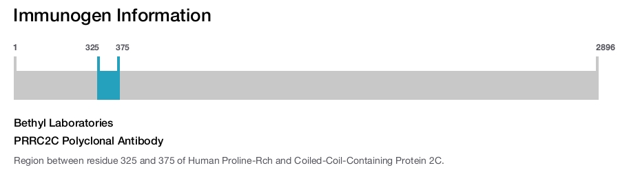 PRRC2C Polyclonal Antibody