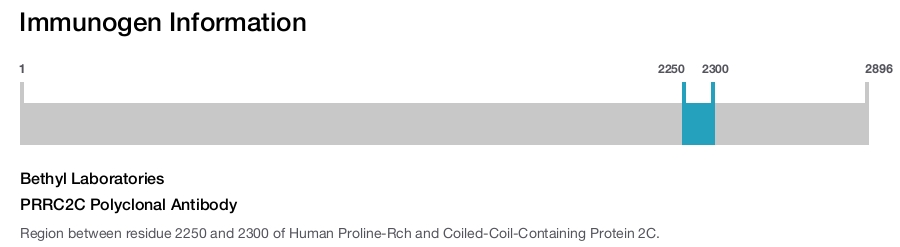 PRRC2C Polyclonal Antibody
