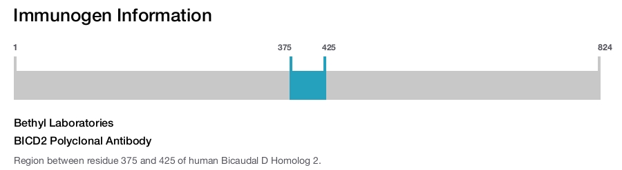 BICD2 Polyclonal Antibody