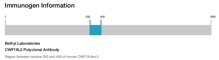 CWF19L2 Polyclonal Antibody