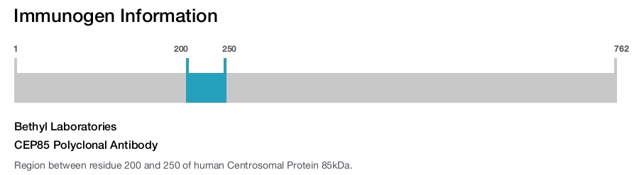 CEP85 Polyclonal Antibody