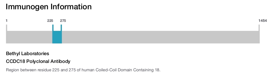 CCDC18 Polyclonal Antibody