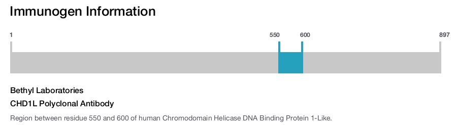 CHD1L Polyclonal Antibody