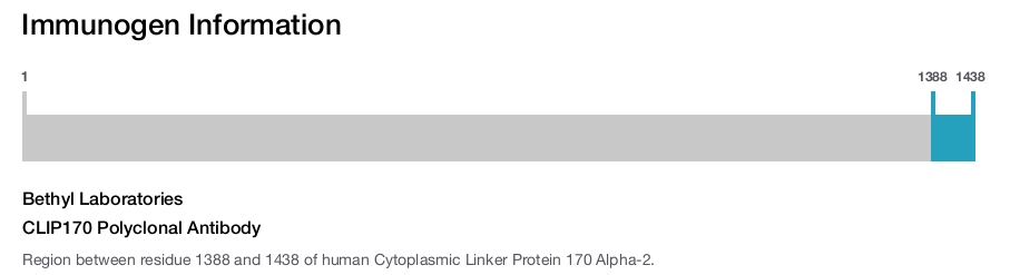 CLIP170 Polyclonal Antibody