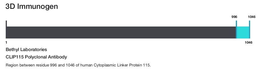CLIP115 Polyclonal Antibody