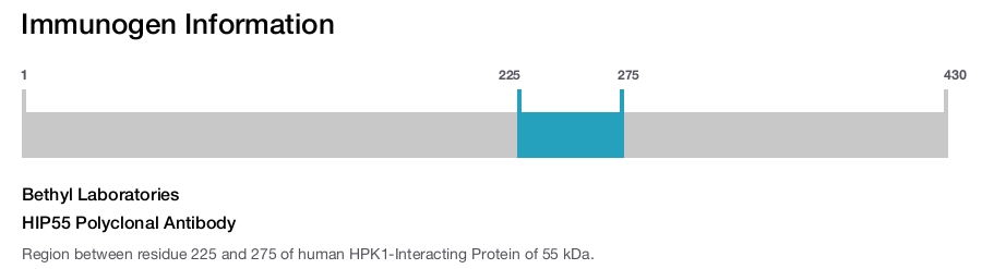 HIP55 Polyclonal Antibody