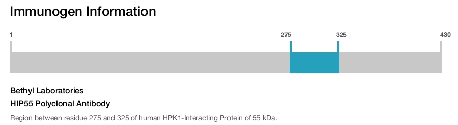 HIP55 Polyclonal Antibody