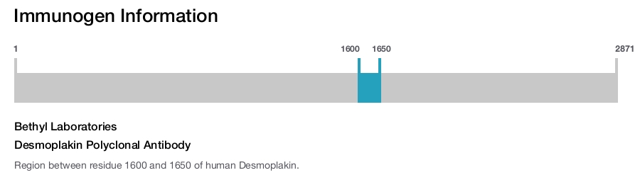 Desmoplakin Polyclonal Antibody