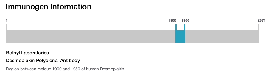 Desmoplakin Polyclonal Antibody