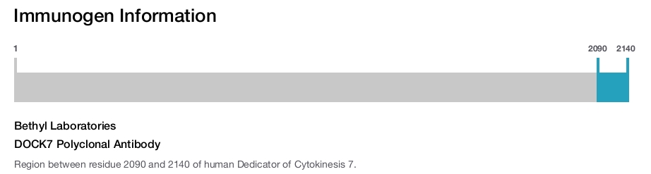 DOCK7 Polyclonal Antibody