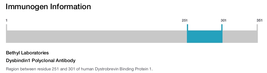 Dysbindin1 Polyclonal Antibody