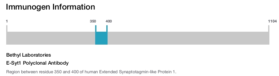 E-Syt1 Polyclonal Antibody
