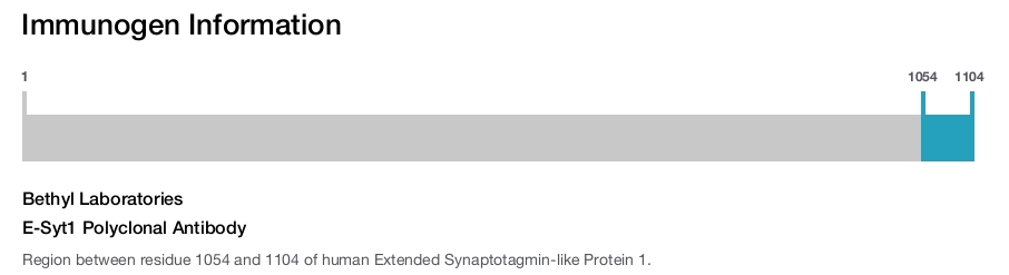 E-Syt1 Polyclonal Antibody