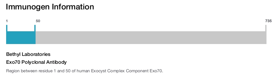 Exo70 Polyclonal Antibody