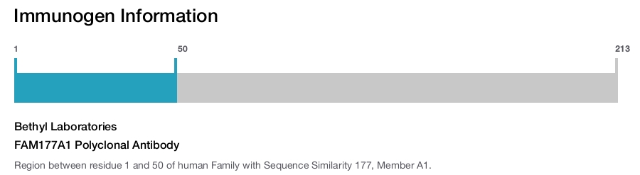 FAM177A1 Polyclonal Antibody