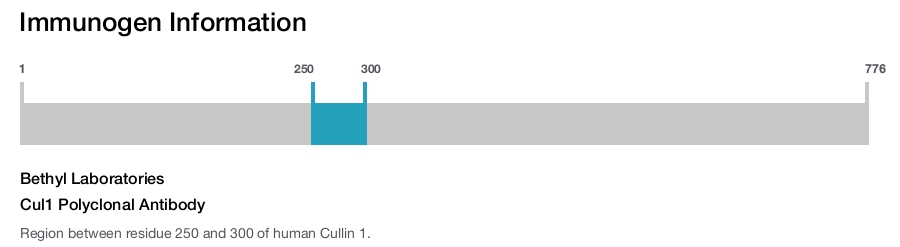 Cul1 Polyclonal Antibody