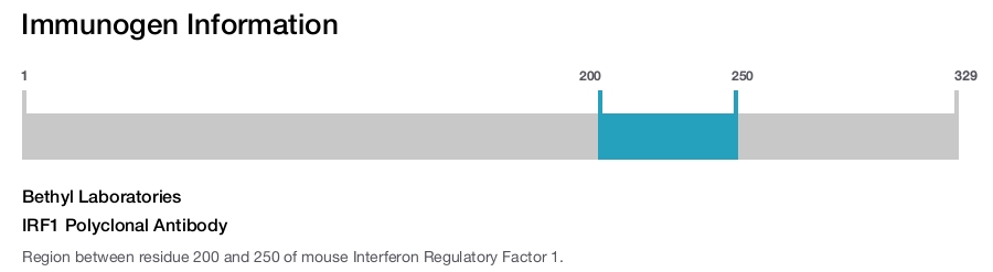 IRF1 Polyclonal Antibody