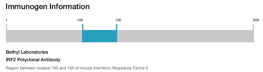 IRF2 Polyclonal Antibody