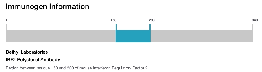 IRF2 Polyclonal Antibody