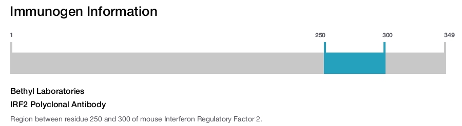 IRF2 Polyclonal Antibody