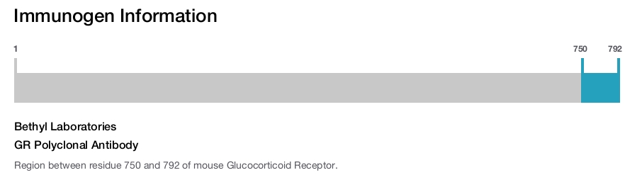 GR Polyclonal Antibody