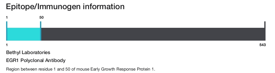 EGR1 Polyclonal Antibody