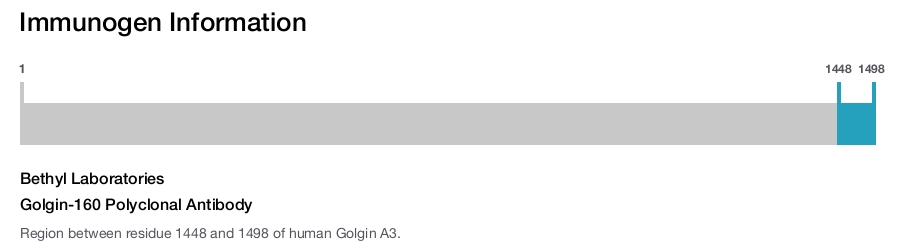 Golgin-160 Polyclonal Antibody