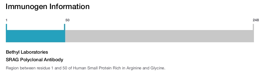 SRAG Polyclonal Antibody