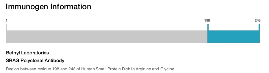 SRAG Polyclonal Antibody