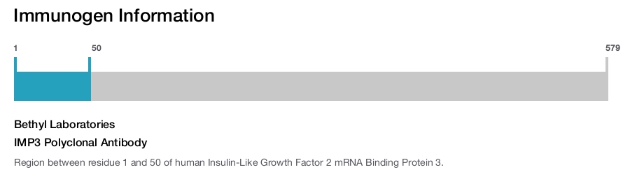 IMP3 Polyclonal Antibody