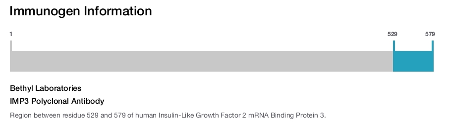 IMP3 Polyclonal Antibody
