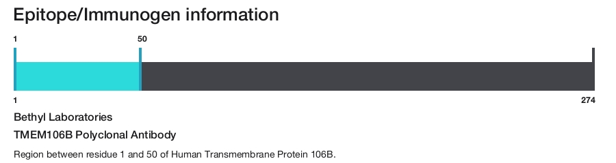 TMEM106B Polyclonal Antibody