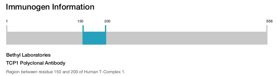 TCP1 Polyclonal Antibody
