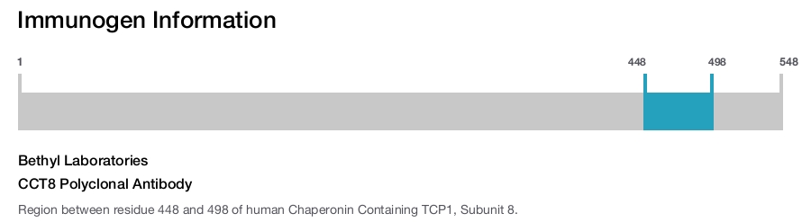 CCT8 Polyclonal Antibody