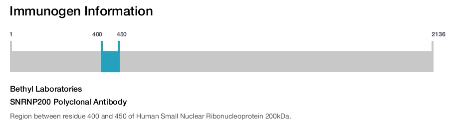 SNRNP200 Polyclonal Antibody