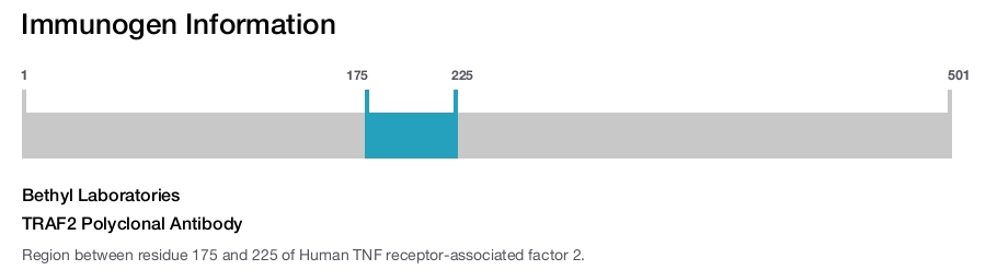TRAF2 Polyclonal Antibody