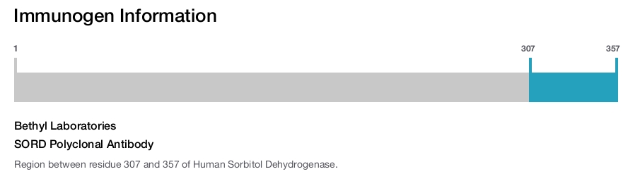 SORD Polyclonal Antibody