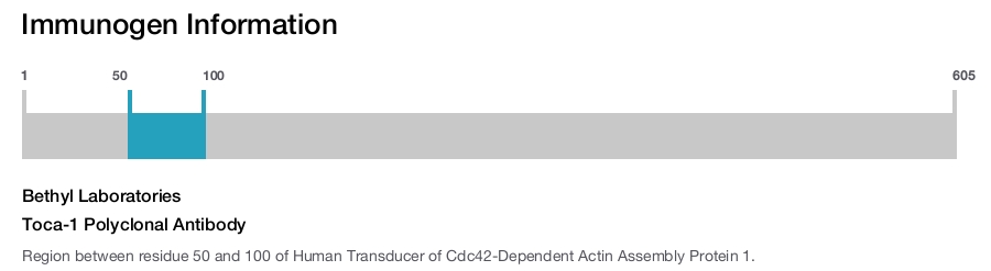 Toca-1 Polyclonal Antibody