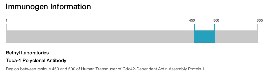 Toca-1 Polyclonal Antibody