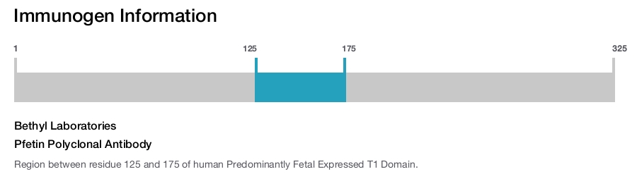 Pfetin Polyclonal Antibody