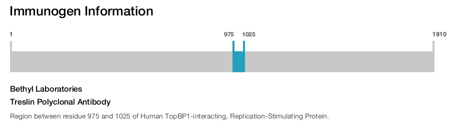 Treslin Polyclonal Antibody